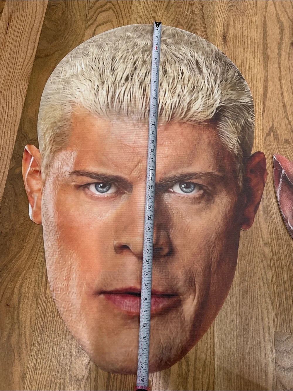 WWE big head party decor/room decor (price is for both 2 for $60)